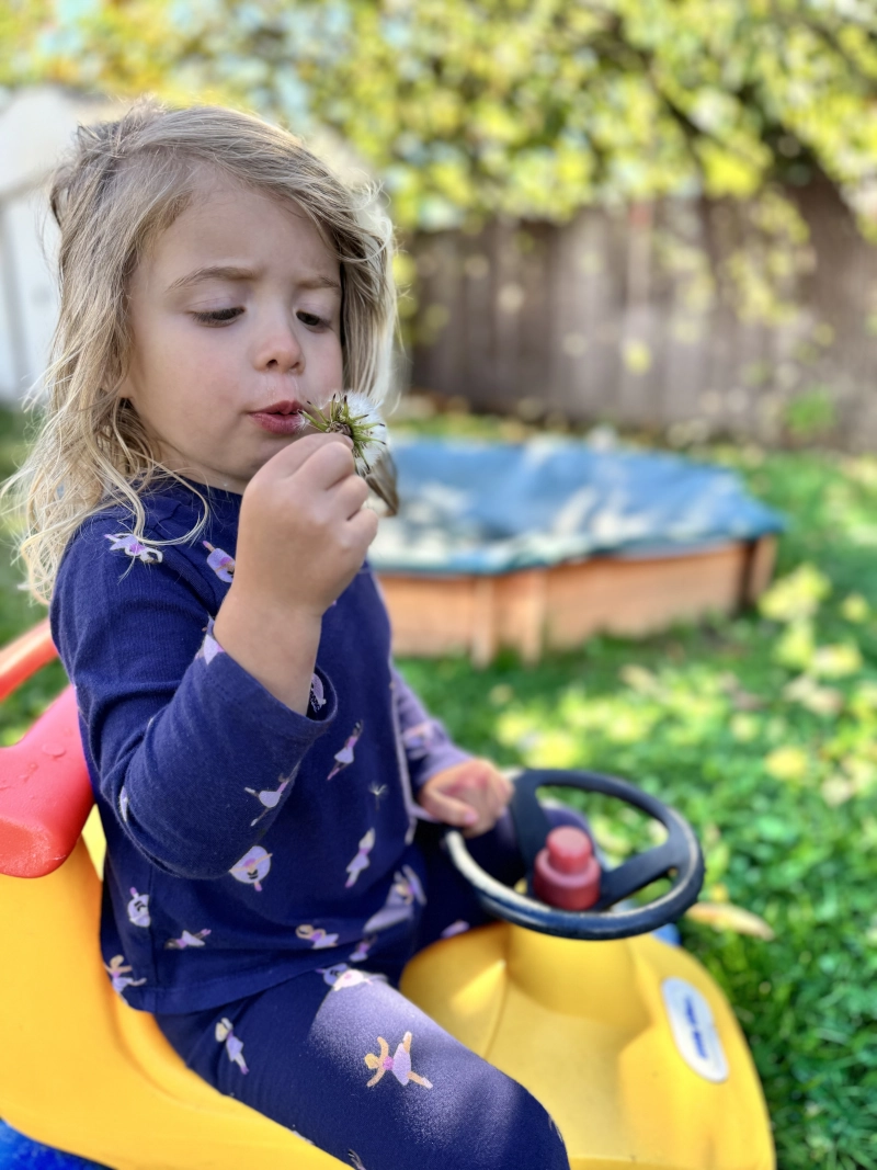 Happy children at Little Angels PDX - Portland Daycare